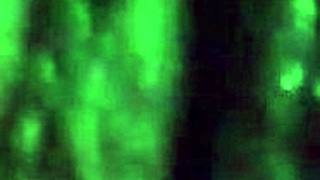 raquel's huge tanned ass milf rides comedor cock gemendo showing puta face