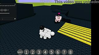 horny bitches beg for my cock and i fuck 'em all