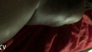 what's this haitian queen moaning in florida caribbean heat?