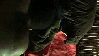 what's this haitian queen moaning in florida caribbean heat?