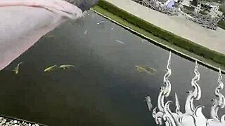 Chiang Rai's Magical White Temple Tour