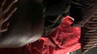 what's this haitian queen moaning in florida caribbean heat?