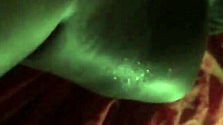 what's this haitian queen moaning in florida caribbean heat?