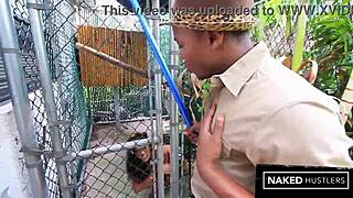 ever wonder what happens when caged kitty meets bbc?