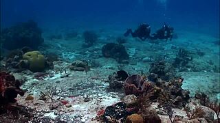 Super sexy brunette bikini babe rocks boat in tiny swimsuit