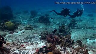 Super sexy brunette bikini babe rocks boat in tiny swimsuit