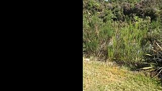 trashy pierced milf pisses roadside cars zooming by