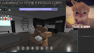 Psc V3.0 Condo Showcase DM Sillyhilariousactivities Now