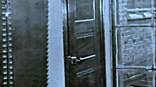 vintage hairy beaver gets fucked retro style