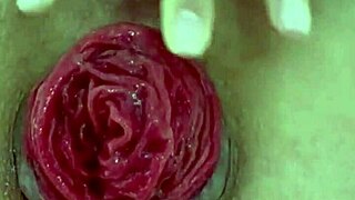 extreme close-up on destroyed juicy milf anal prolapse