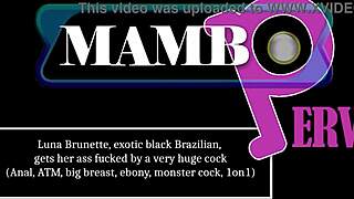 luna's exotic brazilian ass gapes on huge ebony monster cock atm