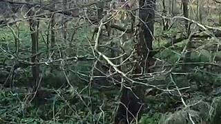 Shop With Me And I'll Suck Your Cock Grateful