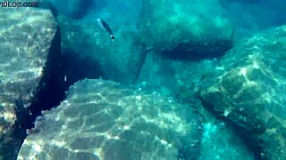 Fish Gulps Thick Cum Load