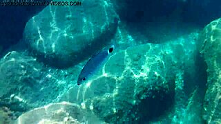 Fish Gulps Thick Cum Load