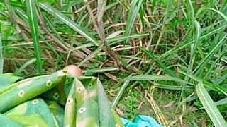 ever wonder what makes this indian wife so damn sexy