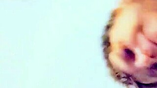 Texas Wife's Shaved Pussy Gets Monster Cock In High Chair Close-Up Fuck