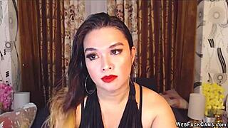 Brunette amateur chats cute on homemade webcam