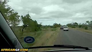 Super tight ebony takes big cock pounding in camper van