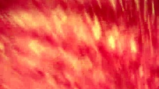 Pastor’s Wife Enrabos Blonde Stepdaughter’s Tight Ass Outdoor