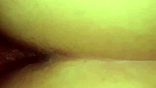 POV doggystyle pounding fat BBW wife's bent over curves