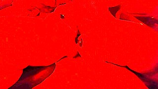 bbw screams multi orgasms from toy then sawzall pussy drilling