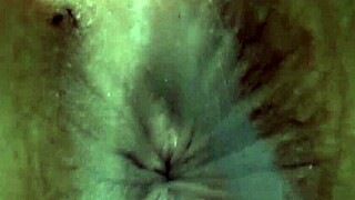 Dog Sniffs Chubby Ayas Erotic Asshole Fetish Closeup