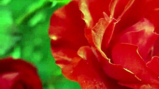 My college friend fucked me so romantically in group Indian passion