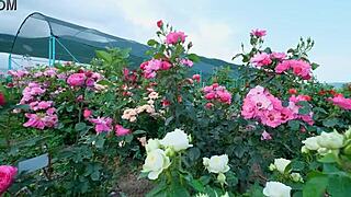 My college friend fucked me so romantically in group Indian passion