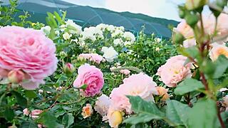 My college friend fucked me so romantically in group Indian passion