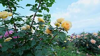 My college friend fucked me so romantically in group Indian passion