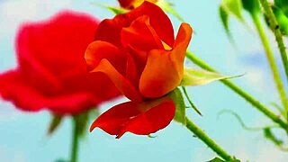 My college friend fucked me so romantically in group Indian passion