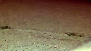 Anal-Filled 4th of July Returns With Intense Assfucking Holiday Blog