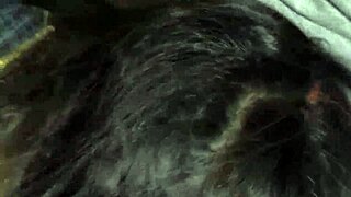 hairy milf housewife deepthroats big cock for facial cumshot