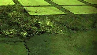 hairy teen babe bound fucked feet fetish first time