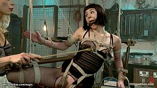 lesbian slave bound whipped then ass plugged hard