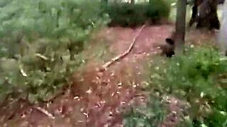 impregnablelexa i took wolfdaddy901 bareback creampie park style ughh
