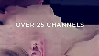 Gigi Dior Tangkap Penyewa Batang Besar Jocong Keras