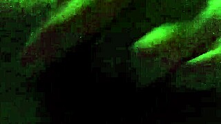 Wanna watch me finger my dirty hairy black pussy?