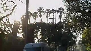 check out my first public flashing turned orgasm in sfw!