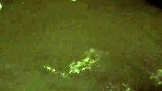 bathtub piss play hides steamy poolside secrets