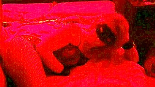 AMATEUR SLUT WIFE IN FISHNETS BEGS FOR DIRTY ASS CLOSEUPS!