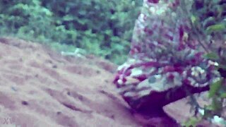 DESI LADY PISSING in indian style