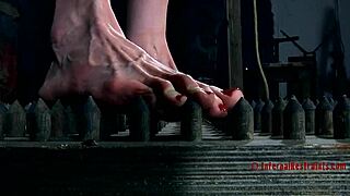 Bound Babe Begs For Rough Cunt Pounding