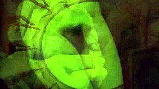 Retro Erotic Vintage Antique Tease