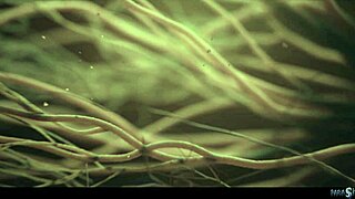 russian blonde redhead lesbians mind controlled squirting alien parasite domination