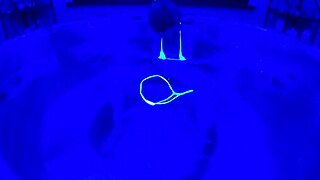 wanna see ultraviolet tease her pierced clit in wet bikini shower?