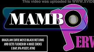 damn brazilian meyzi black's ass gapes from 4 huge bbc dap atm no pussy play