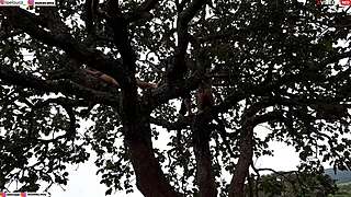 Fuck yeah, ramming cock into blonde and brunette on street tree!