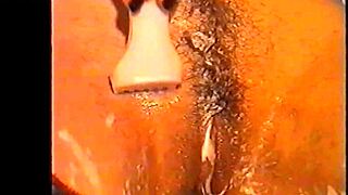 shaved housewife pussy dances into anal masturbation bliss