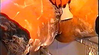 shaved housewife pussy dances into anal masturbation bliss